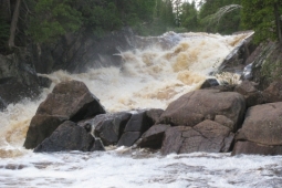 Spring Waterfalls and Bird Watchers Special