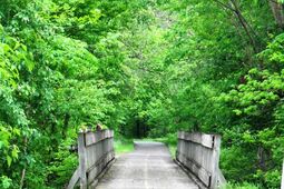 Cannon Falls Bike Trail Weekend Special