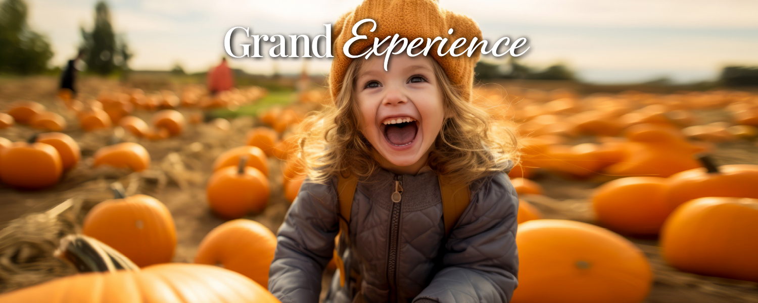 Grand Experience Fall