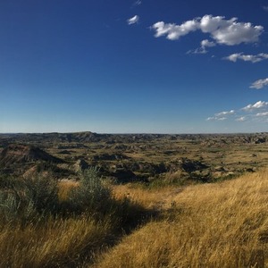 On the Hunt? South Dakota Hunting Spots to Add to Your List