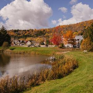 Living Color: Fall Foliage in the Midwest