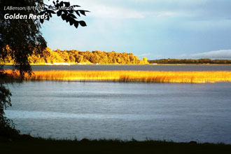 Lake Miltona