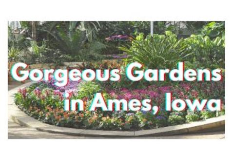 Grand Travel Planner: Reiman Gardens