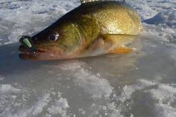 Ice Fishing Get Away Package